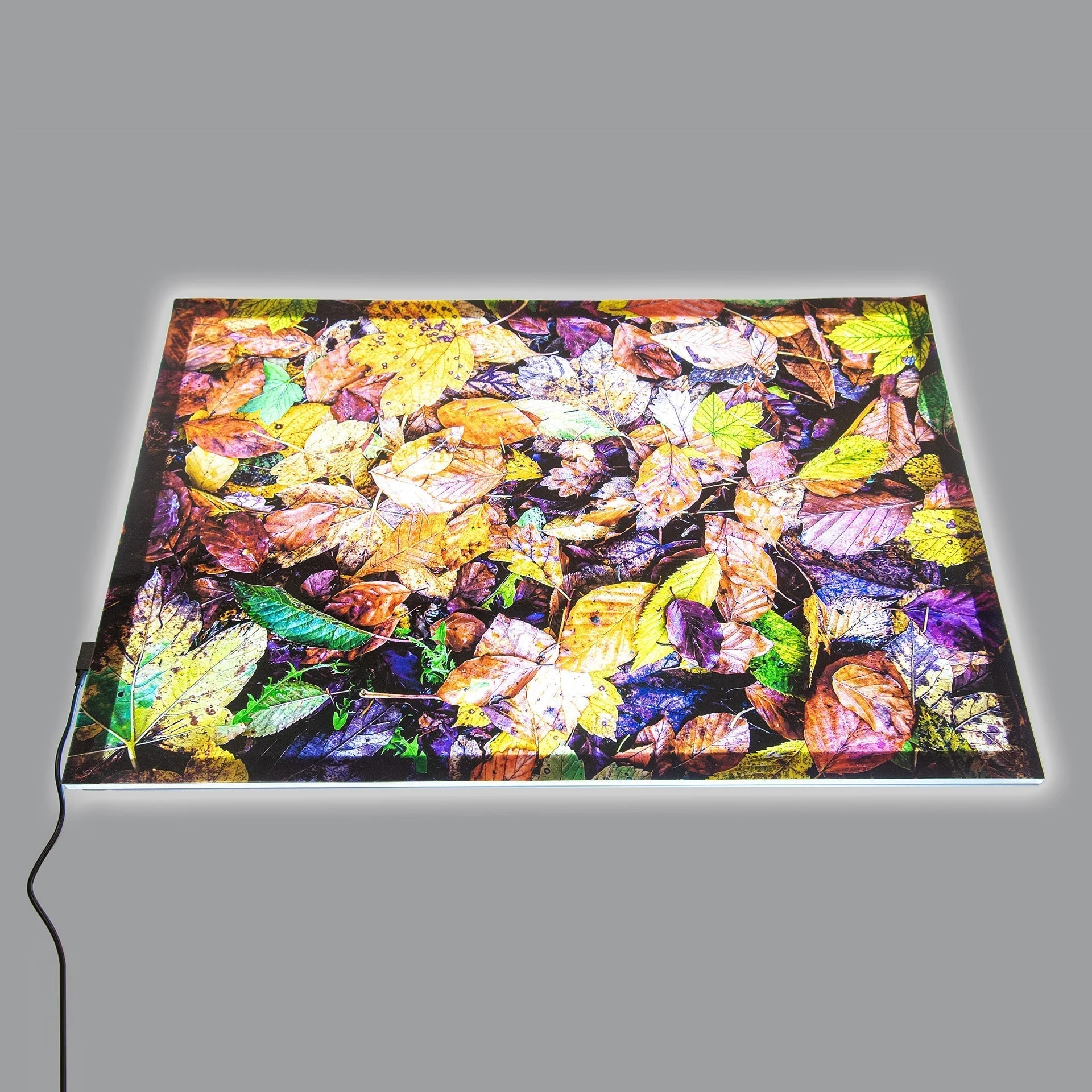 A2 Colour Changing Light Panel & Play Mat Bundle - Image 7