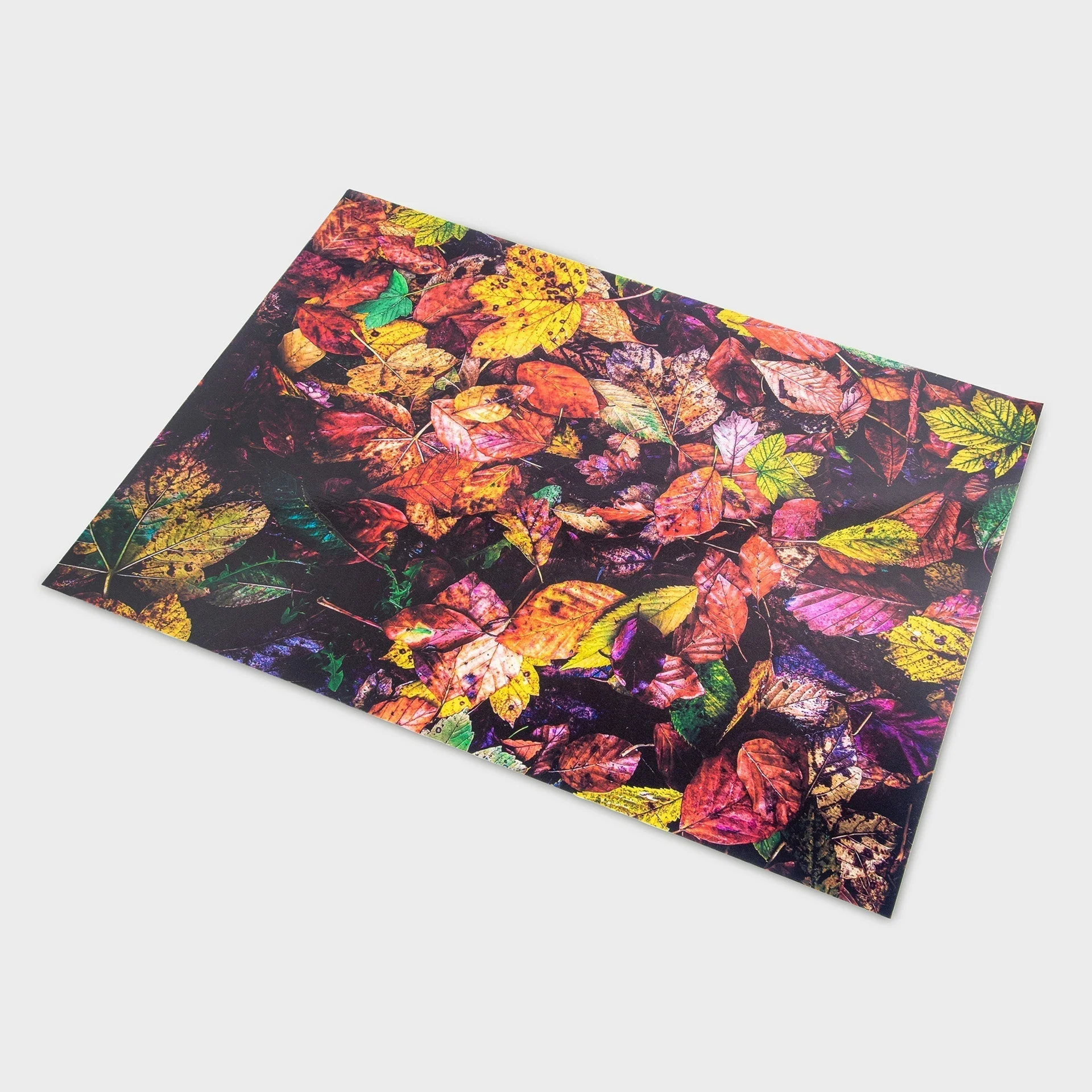 Autumn Leaves A2 Play Mat - Image 5