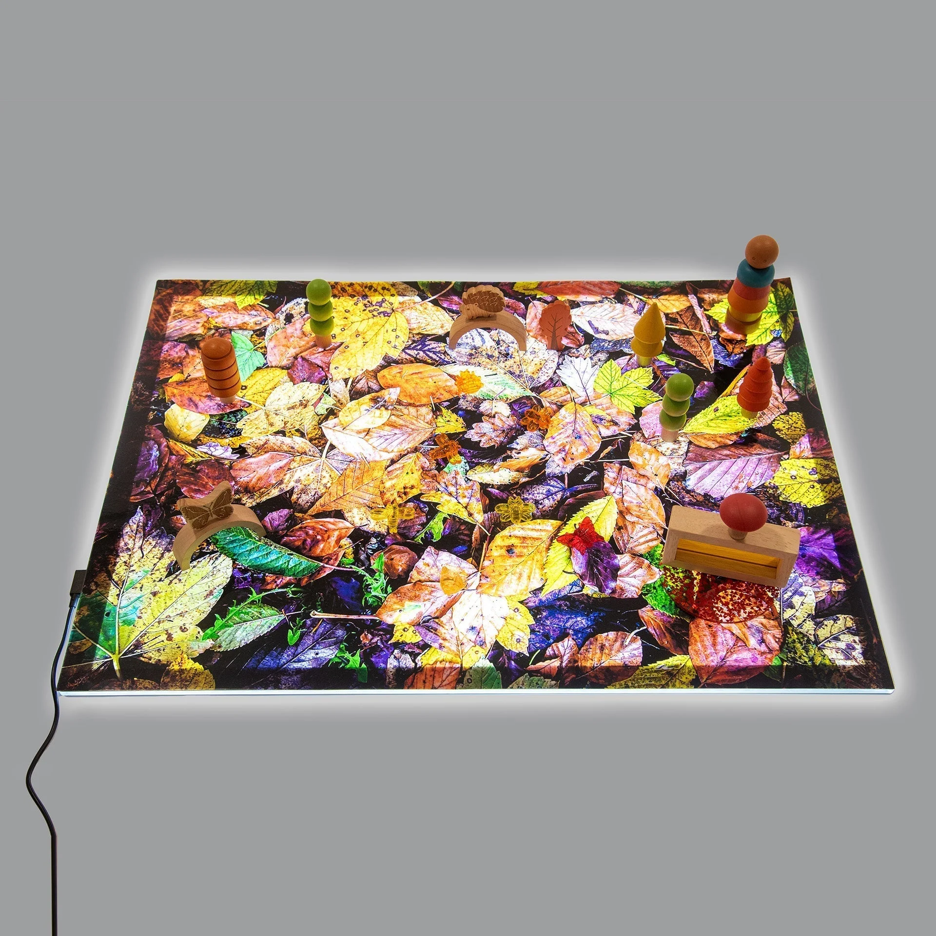 Autumn Leaves A2 Play Mat - Image 9