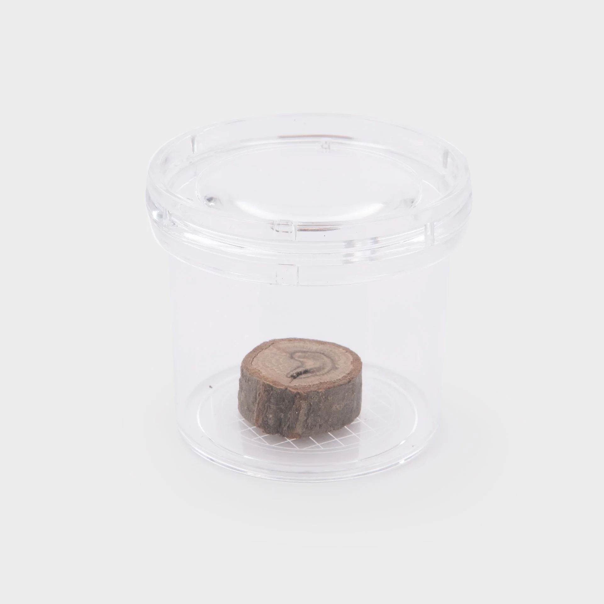 Clear Bug Viewer - Image 7