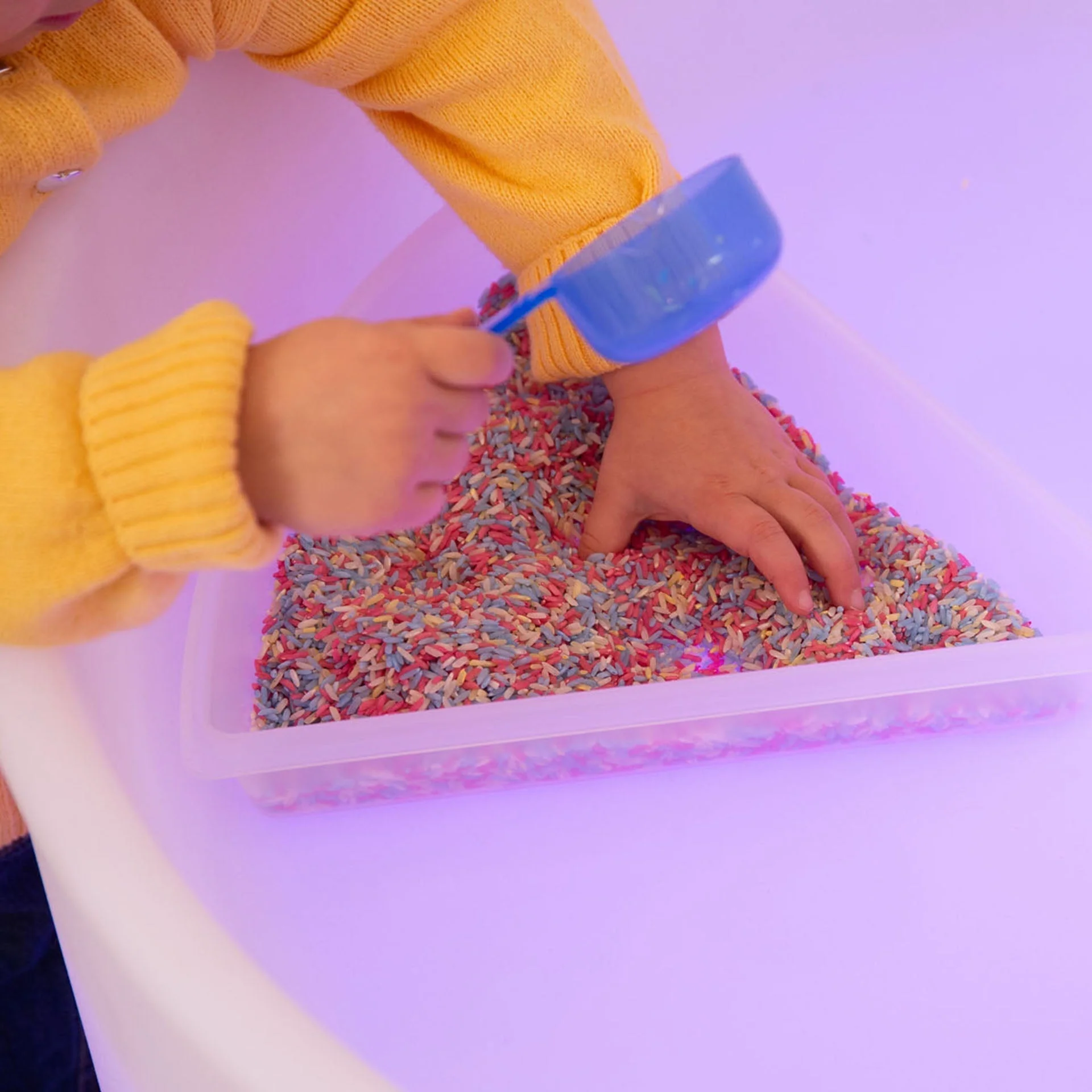 Discovery Trays - Image 7