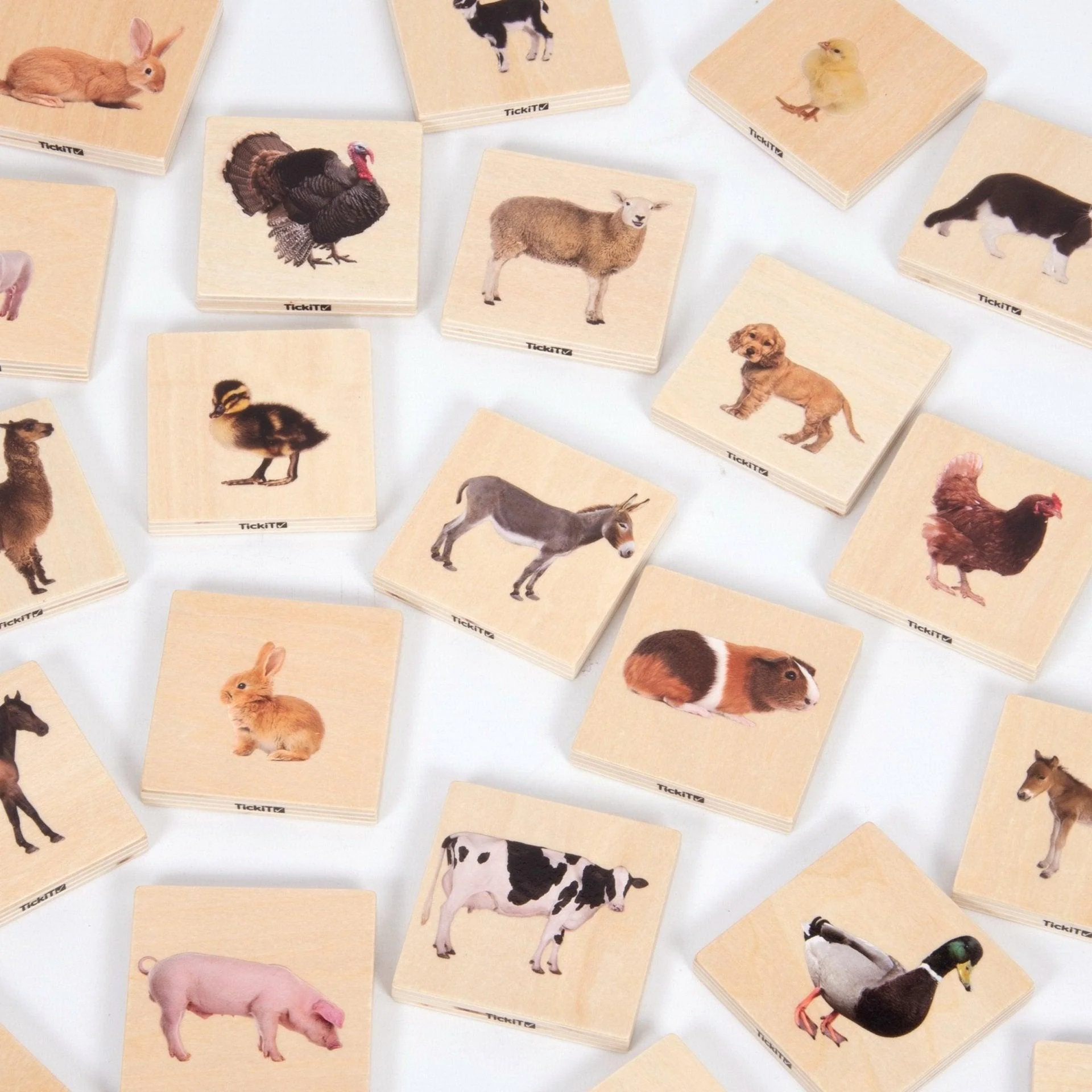 Domestic Animal Family Match - Image 6