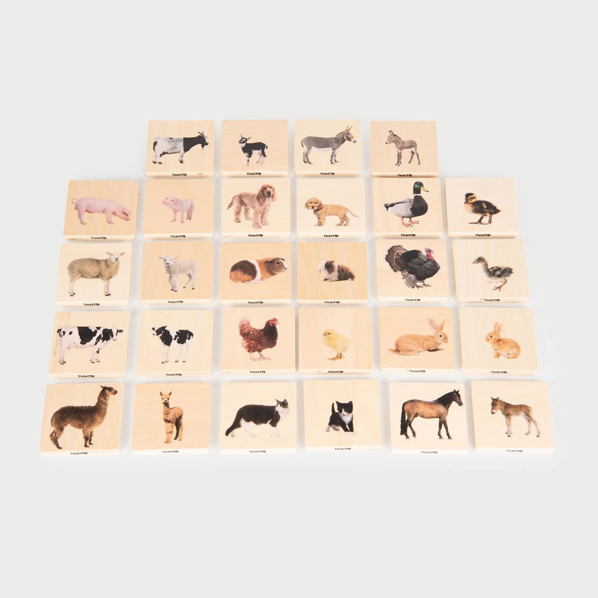 Domestic Animal Family Match - Image 7