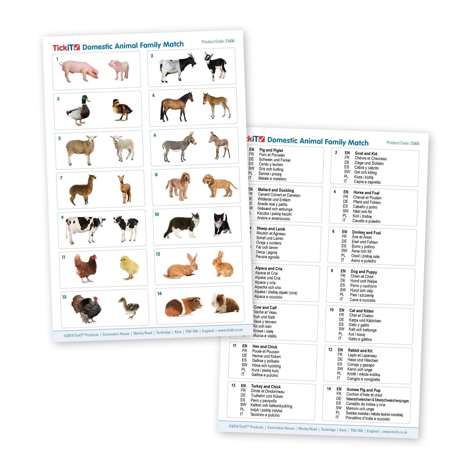 Domestic Animal Family Match - Image 8