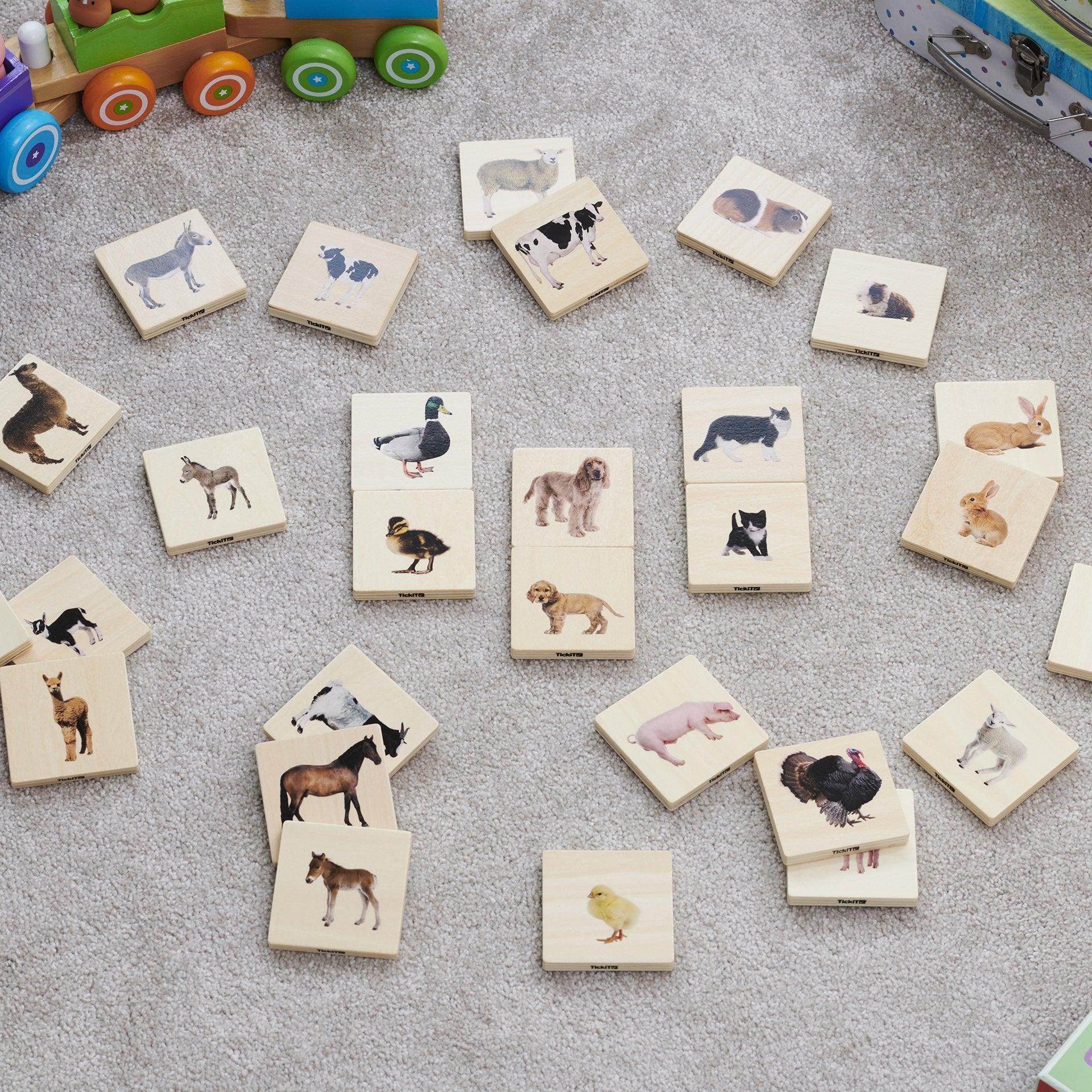 Domestic Animal Family Match - Image 9