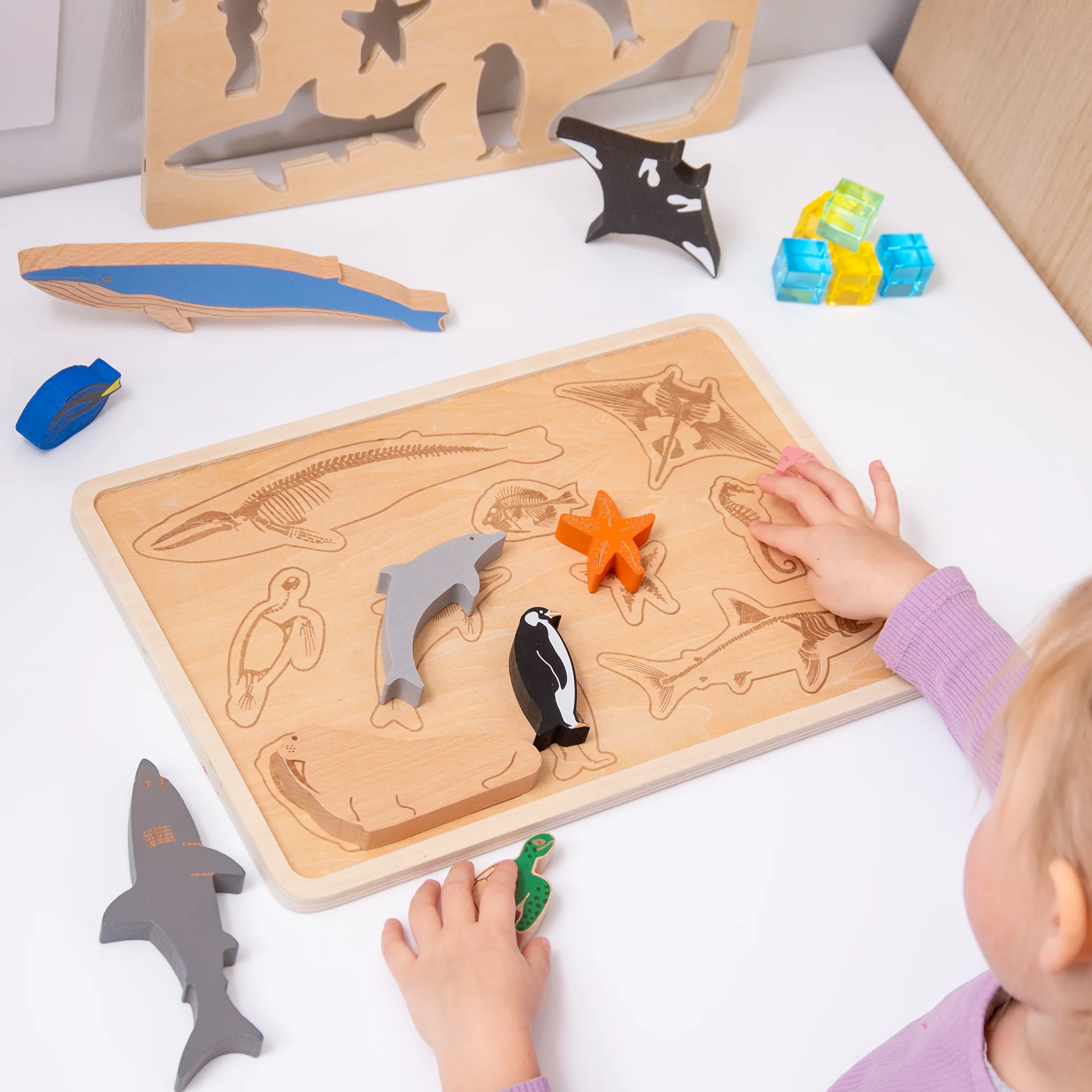 Ocean Animal Layer Puzzle - Image 2