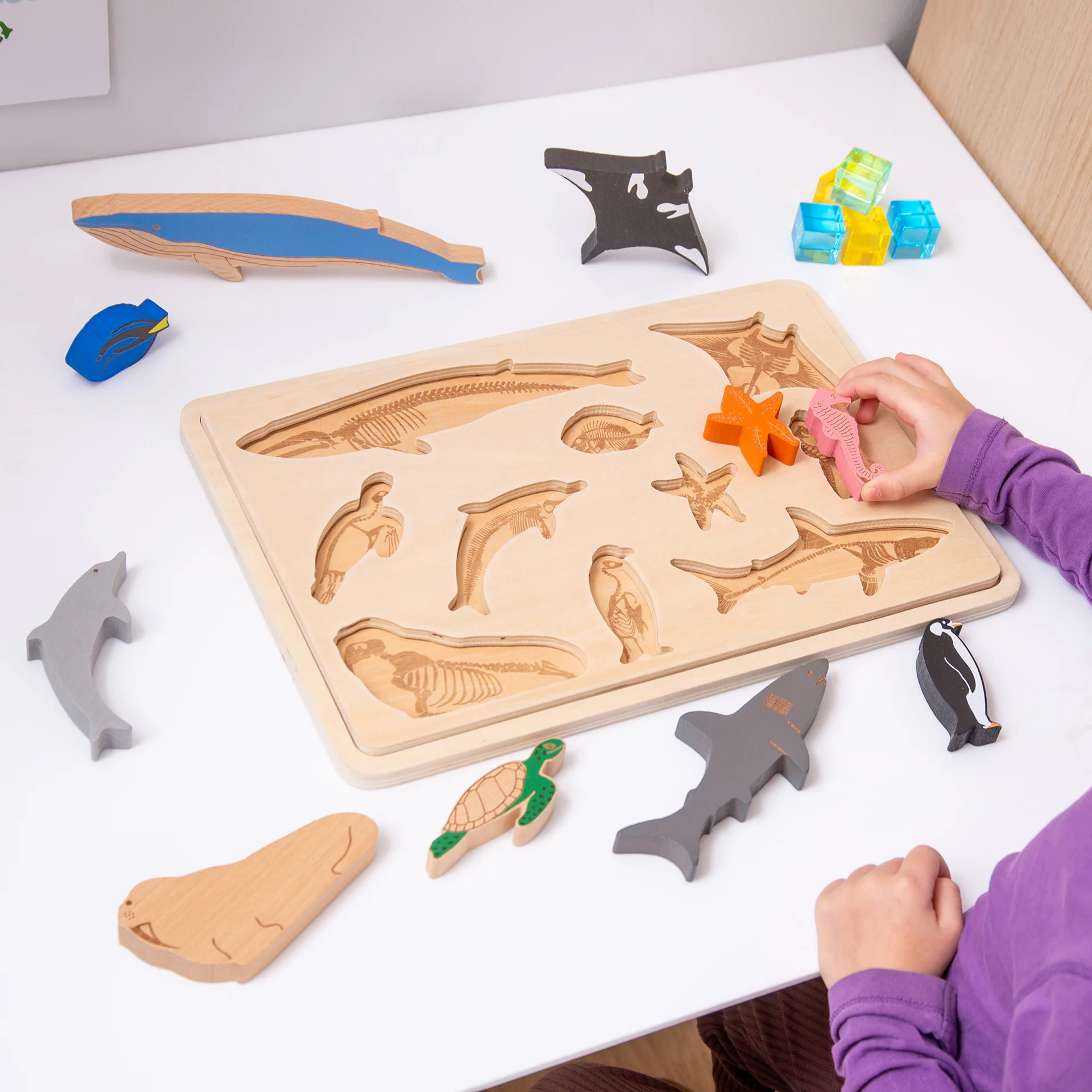 Ocean Animal Layer Puzzle - Image 4