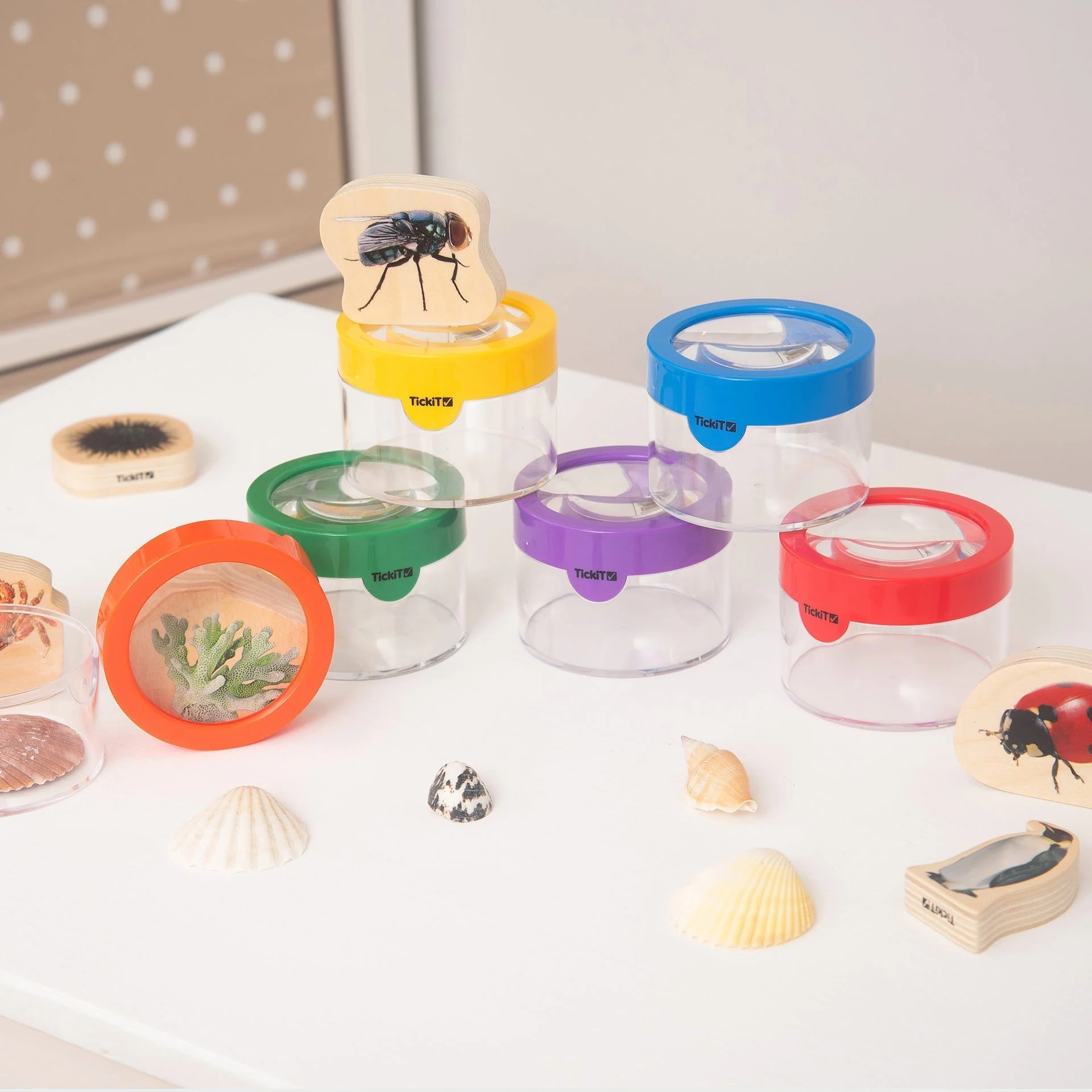 Rainbow Exploration Kit - Image 6