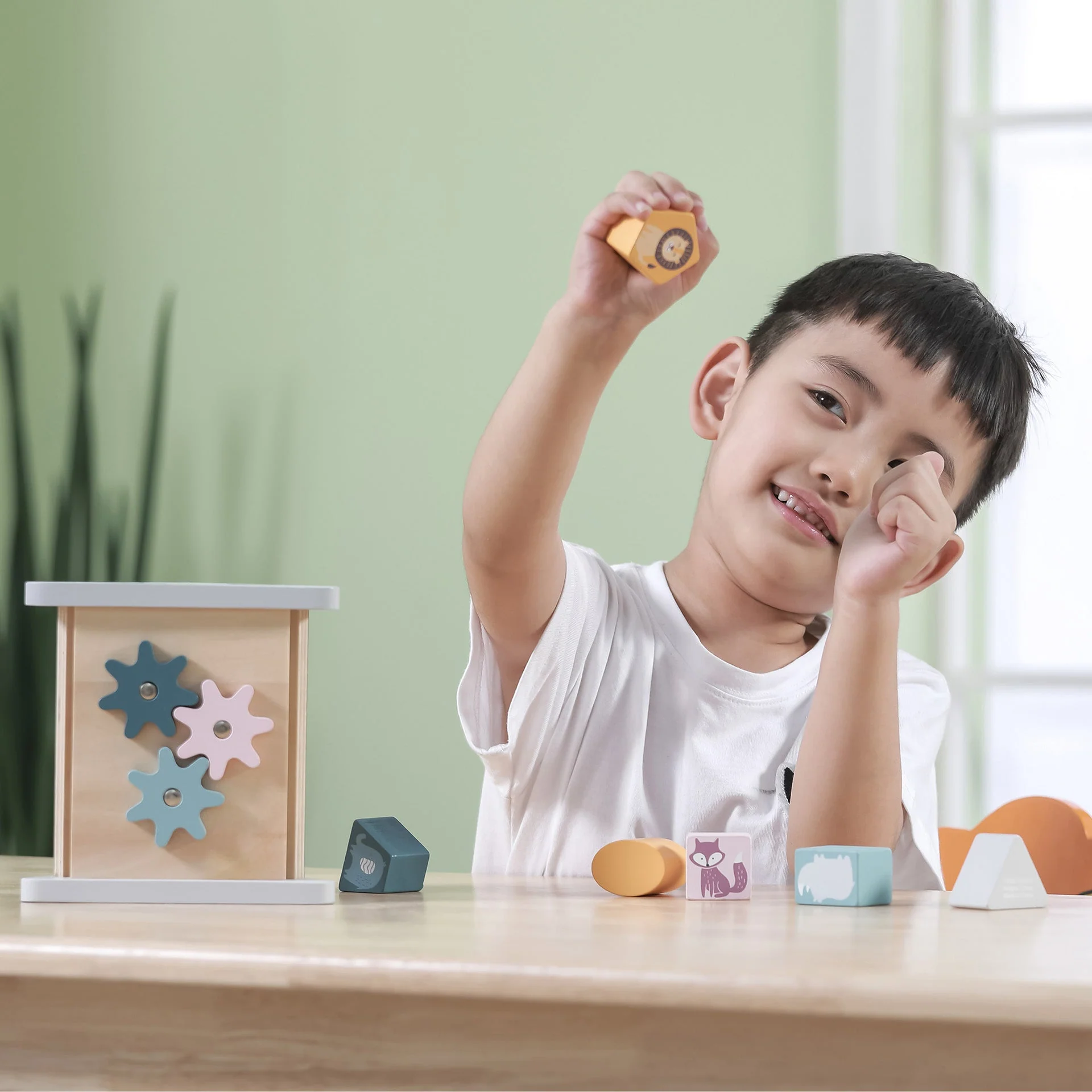 Shape Sorter & Gear Play - Image 4