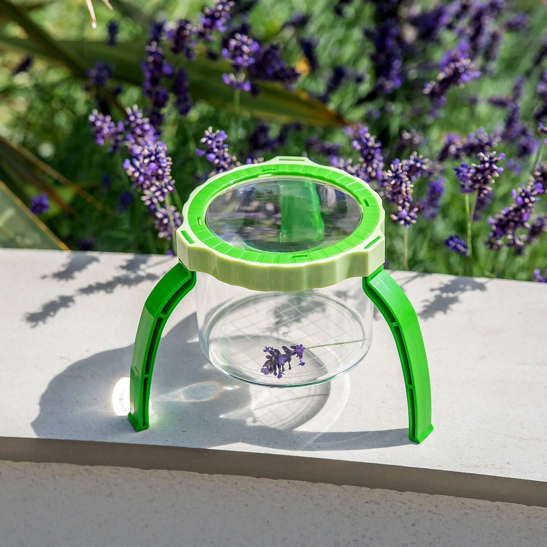 Tabletop Magnifier 2.3X & Pot - Image 8