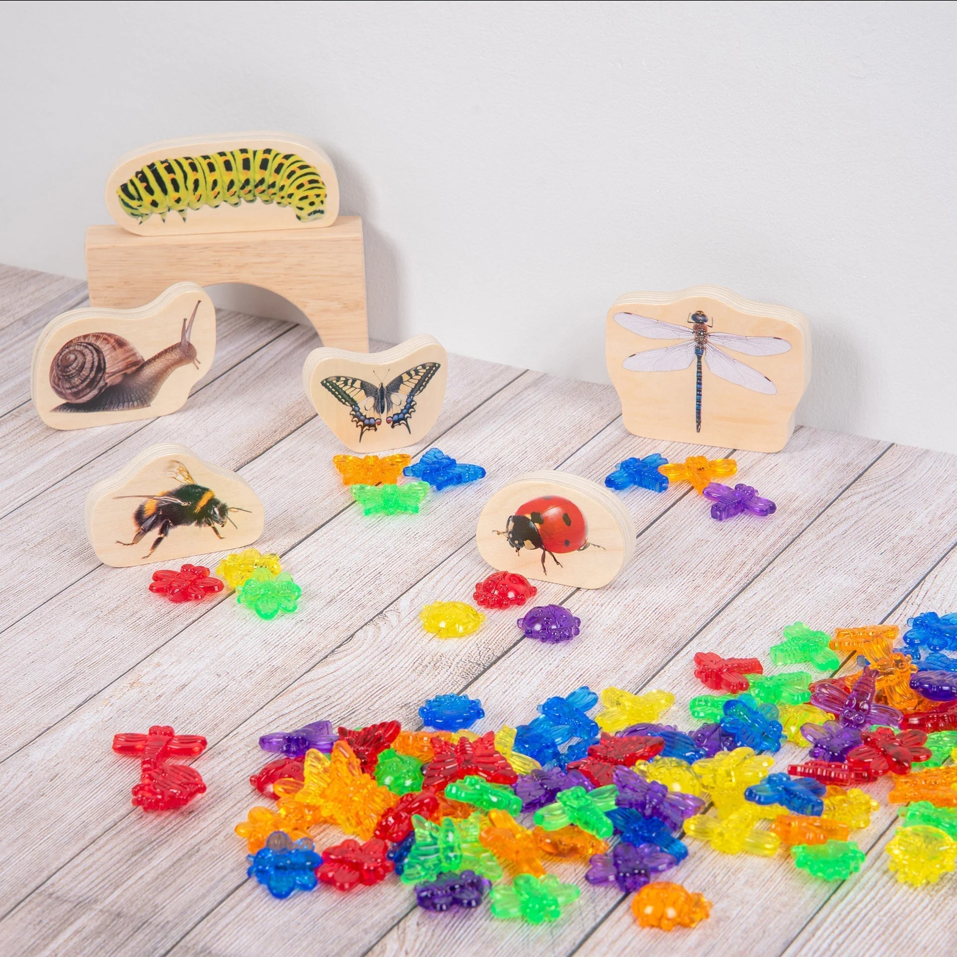 Translucent Colour Bugs - Pack of 96 - Image 4