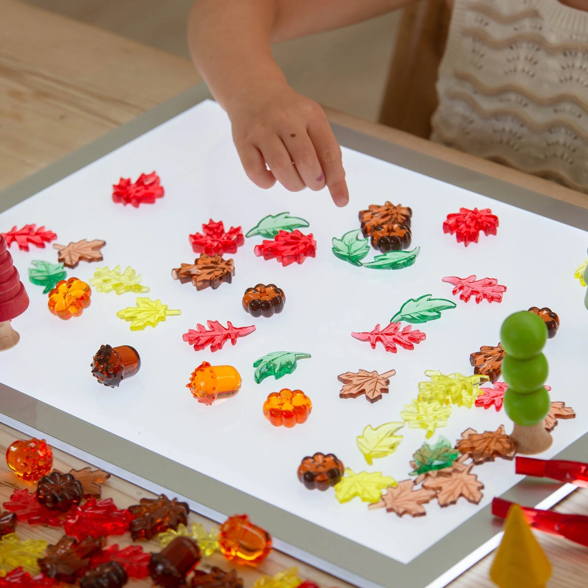 Translucent Colour Leaves & Seeds - Image 3