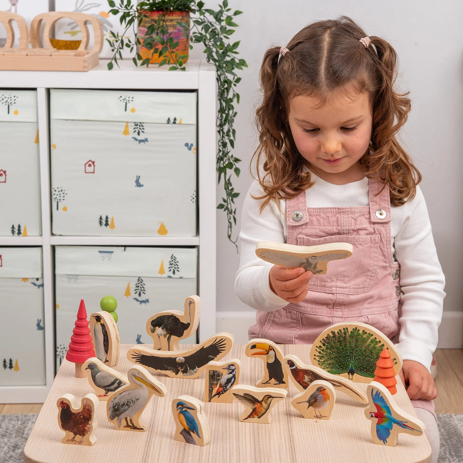 Wooden Bird Blocks - Image 12