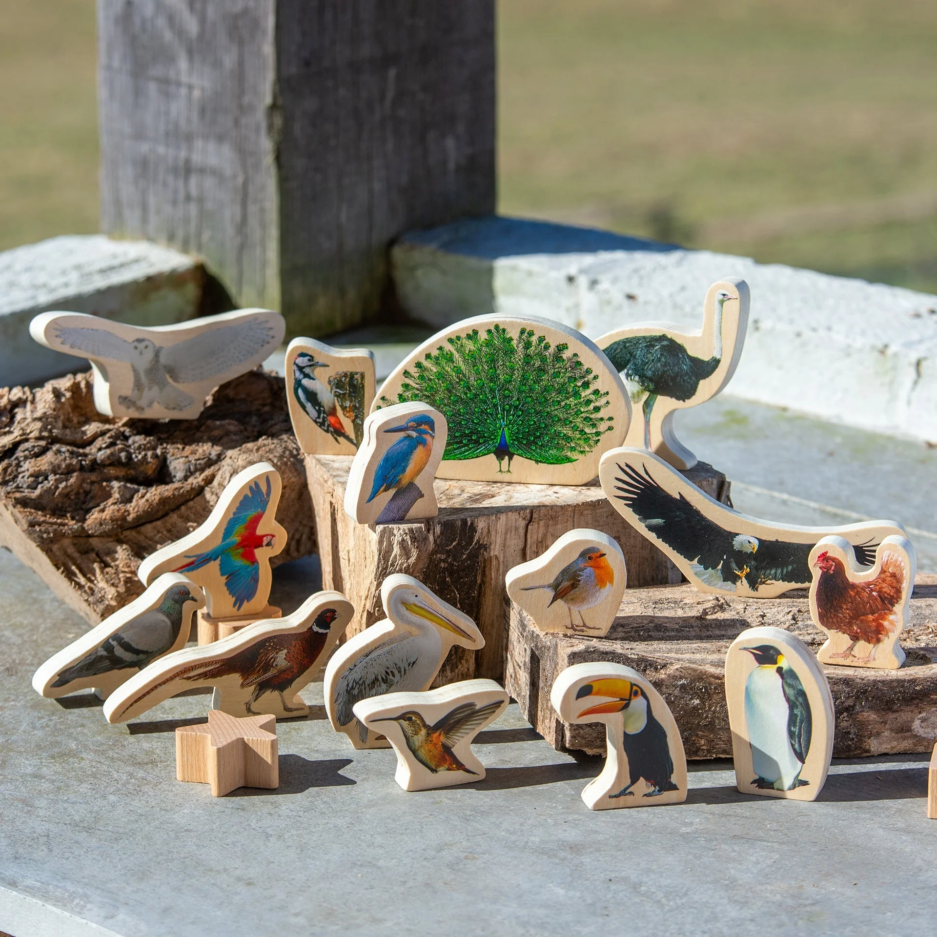 Wooden Bird Blocks - Image 6