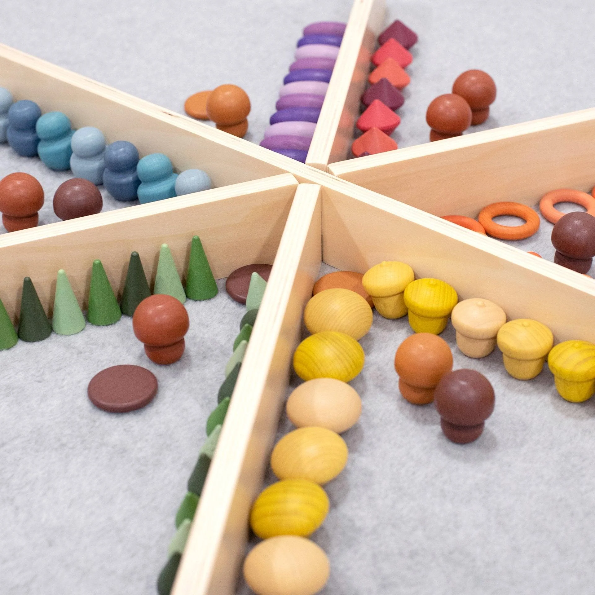 Wooden Discovery Dividers - Image 3