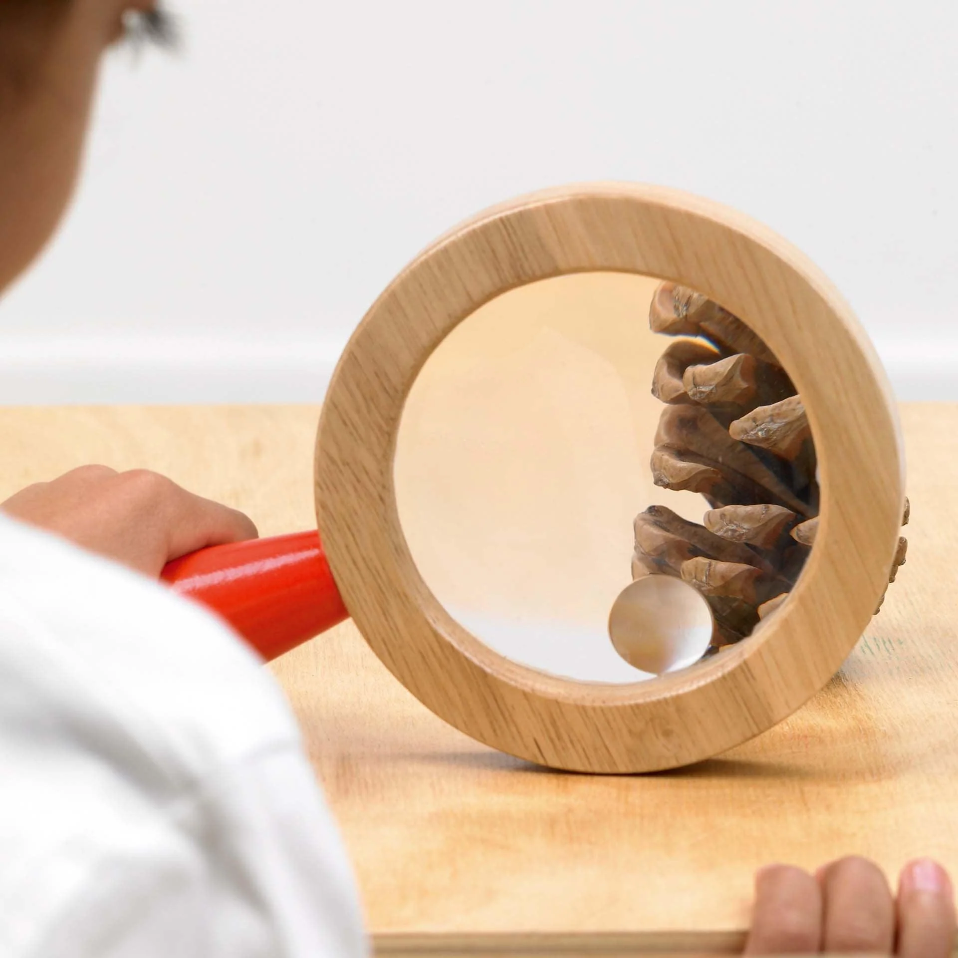 Wooden Hand Lens - Image 4