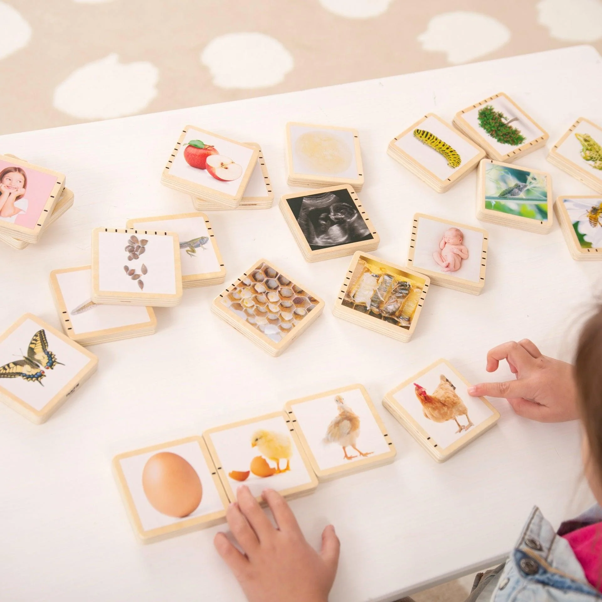 Wooden Lifecycle Tiles - Image 4