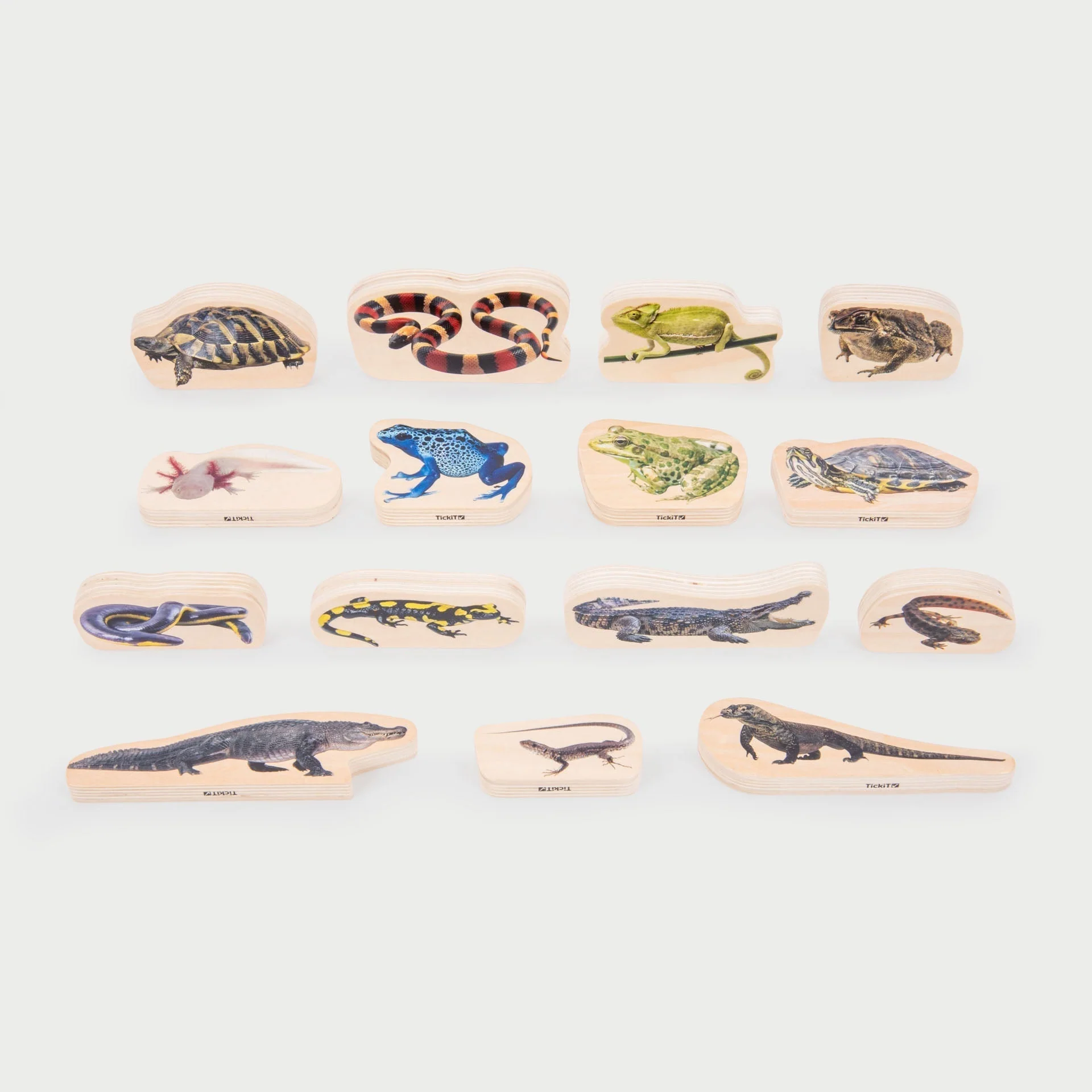 Wooden Reptile & Amphibian Blocks
