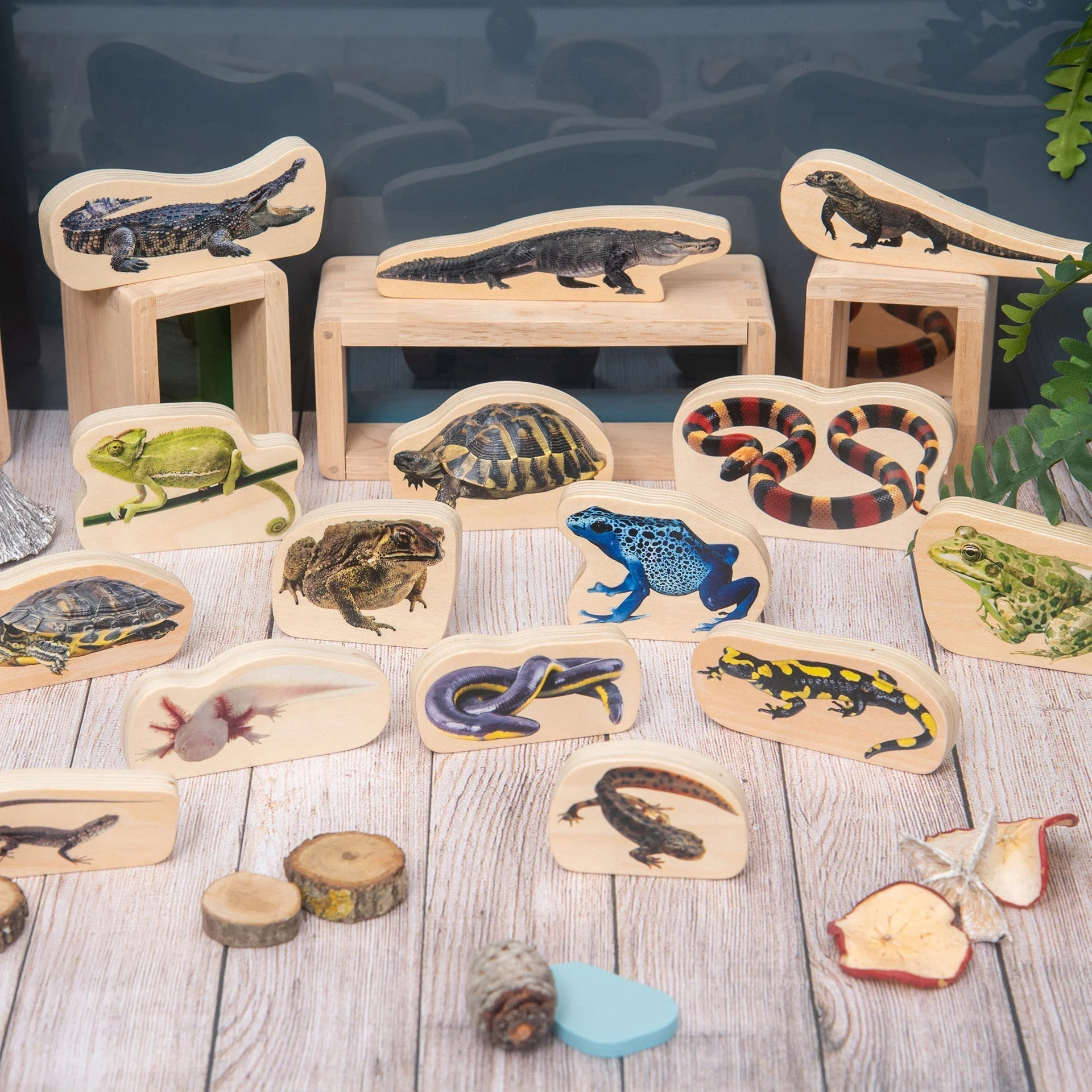 Wooden Reptile & Amphibian Blocks - Image 3