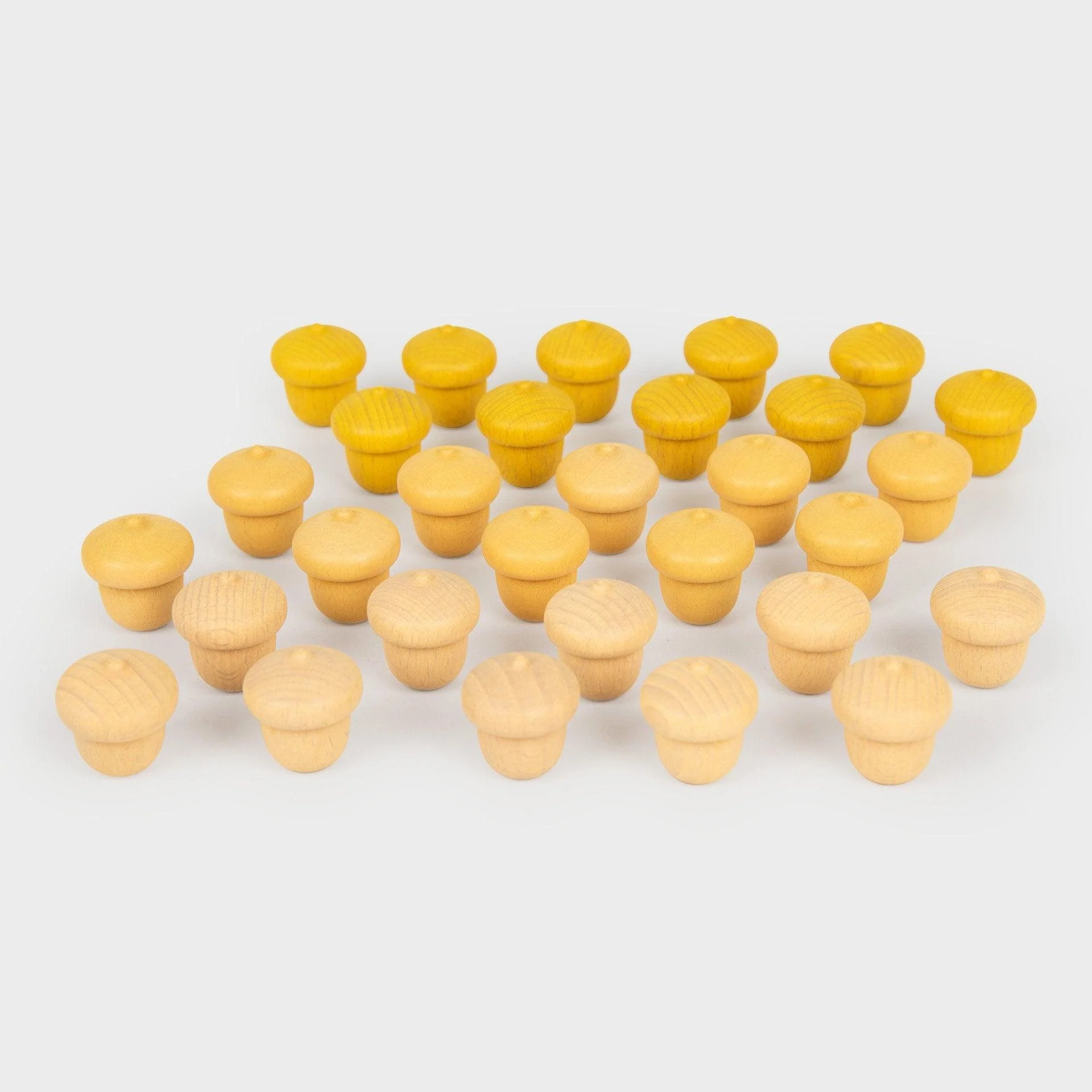 Wooden Treasures - Acorn